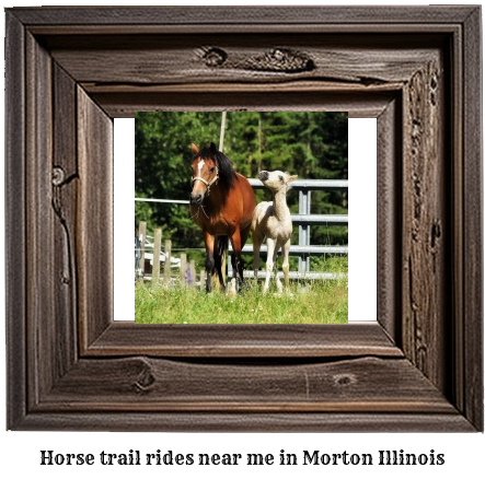 horse trail rides near me in Morton, Illinois